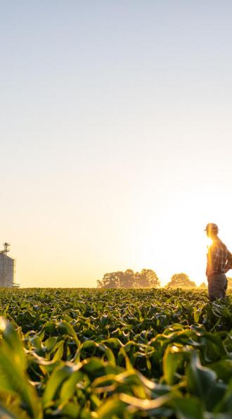 Un agriculteur dans son champ