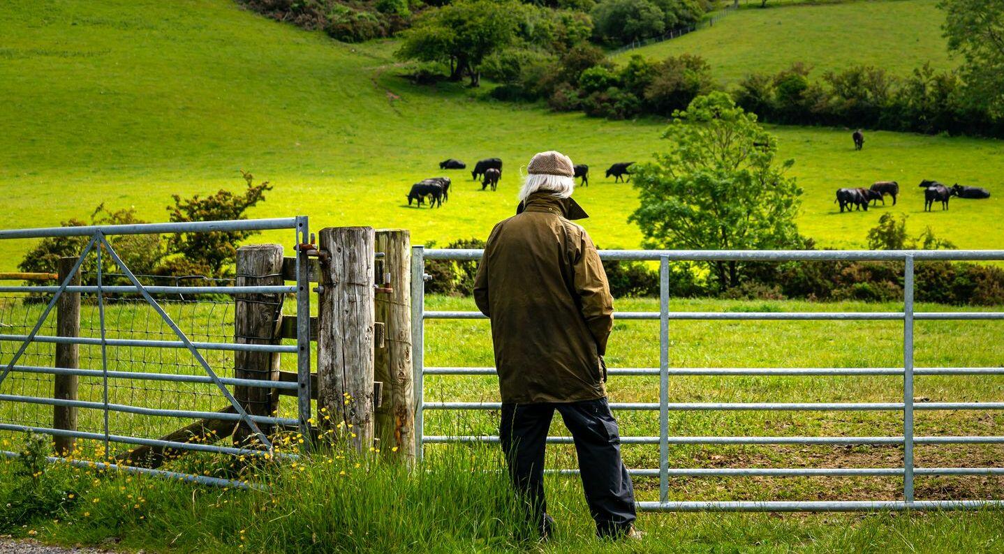 Agriculteur senior aux cheveux blancs observant un champ – retraite agricole et réforme des retraites 2025